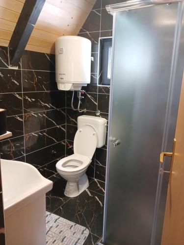 a bathroom with a toilet and a sink at ROMANIJA vikendice in Koprivice