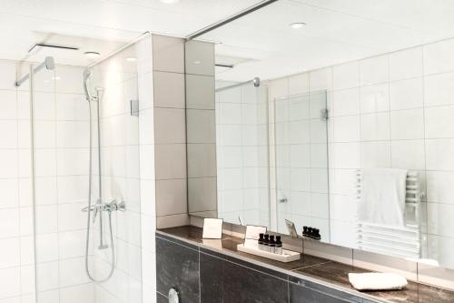 a bathroom with a shower and a mirror at Royal Hotel - Urban Living in Basel