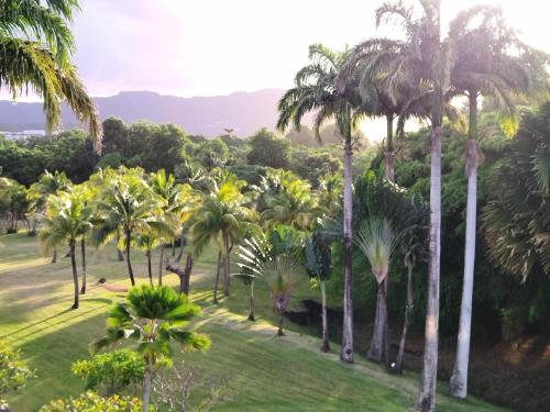 a group of palm trees in a park at PIERRE & VACANCES Margarita 35 in Sainte-Luce