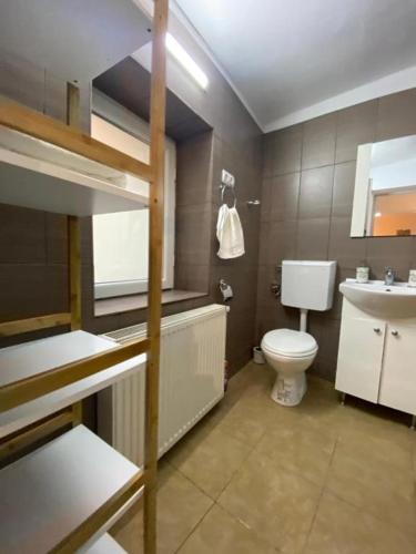 a small bathroom with a toilet and a sink at Liric Studio in Sibiu