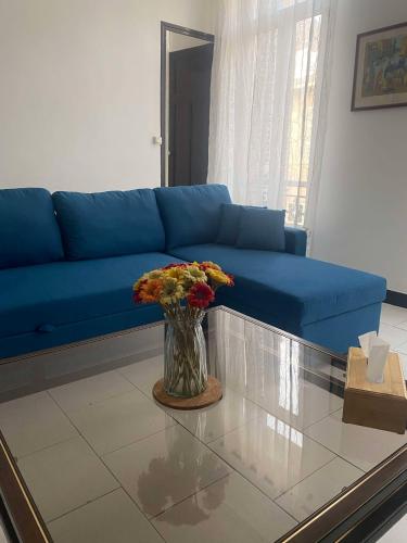 Joli T2 refait à neuf, lumineux et accessible