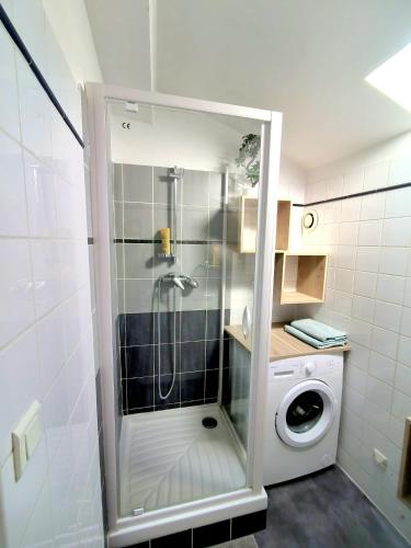 une douche dans une salle de bain avec machine à laver dans l'établissement Duplex tout confort, équipé près du tram et au centre-ville, à Castelnau-le-Lez