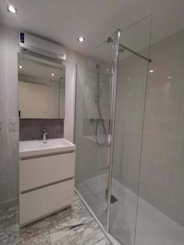 une salle de bain avec une douche en verre et un lavabo dans l'établissement Studio vue mer roscoff et île de batz, à Roscoff