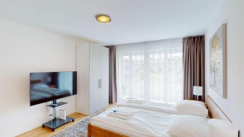 Amazing big studio in the city center - Sun 7