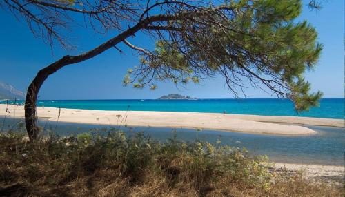 a beach with a pine tree and the ocean at Sea Breeze Home in Lotzorai