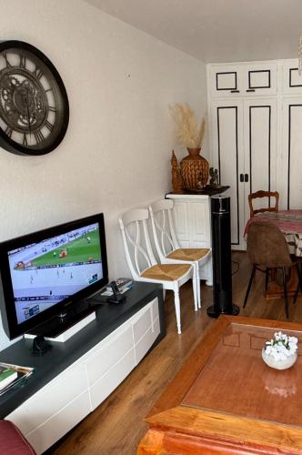 un salon avec une télévision à écran plat sur un comptoir dans l'établissement Appartement agréable saint Brice sous forêt, à Saint-Brice-sous-Forêt
