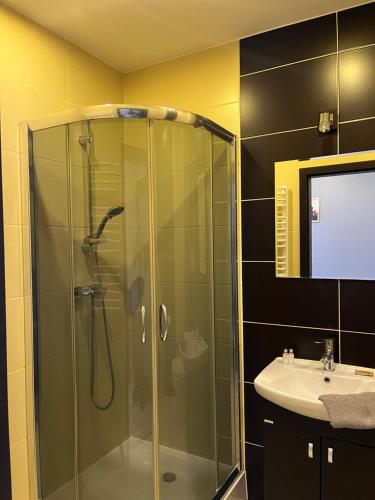 a bathroom with a shower and a sink at Dom Wypoczynkowy Nad Wisłą in Puławy