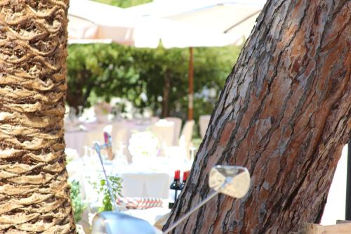 a close up of a tree with a heart on it at Masseria Valente in Ostuni