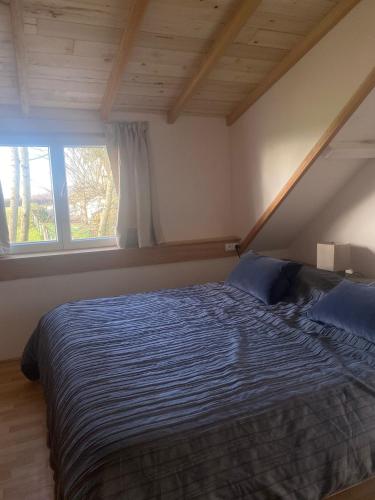 - une chambre avec un lit avec une couette bleue et 2 fenêtres dans l'établissement Gite Bellefleur le Petit Montperroux, à Saint-Didier-sur-Arroux