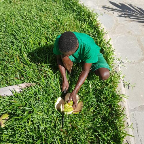 a man is picking up a ball in the grass at Kirepwe Ecco Camp Watamu in Watamu