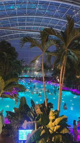 una grande piscina con palme in un resort di 1Bed Flat Central Bucharest a Bucarest