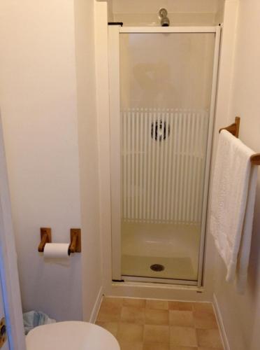 a bathroom with a shower and a toilet at Lotus Motel in Cobourg