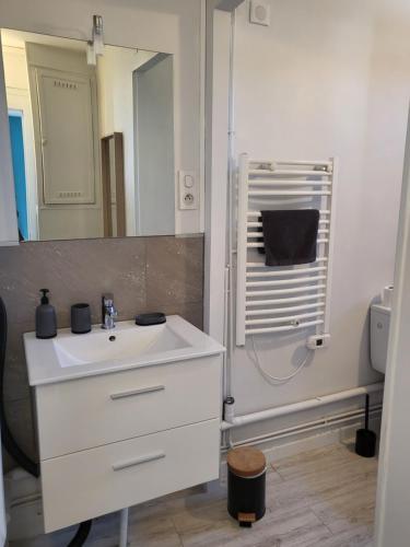 une salle de bain avec un lavabo blanc et une douche dans l'établissement Appartement hypercentre Fontainebleau, à Fontainebleau