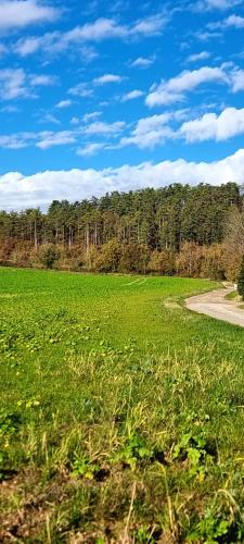 Příroda nedaleko apartmánu