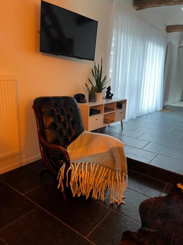 a living room with a chair and a flat screen tv at Melkhuisje in Dendermonde