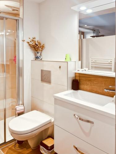 une salle de bain avec toilettes, lavabo et douche dans l'établissement Maison au coeur de MARCOLES, 2ch, 4pers, jardin, à Marcolès