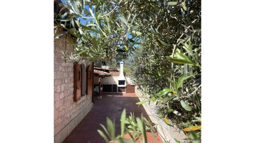 a walkway leading to a house with trees and plants at Casa Romano - Marina di Modica in Marina di Modica
