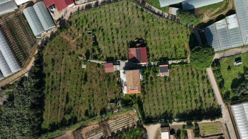 Afbeelding uit fotogalerij van CàSolare Country House in Sperlonga