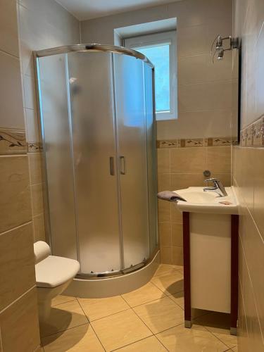 a bathroom with a shower and a toilet and a sink at Dom Wypoczynkowy Nad Wisłą in Puławy