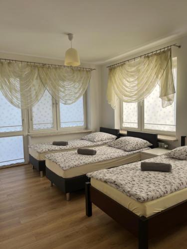 four beds in a room with windows at Dom Wypoczynkowy Nad Wisłą in Puławy
