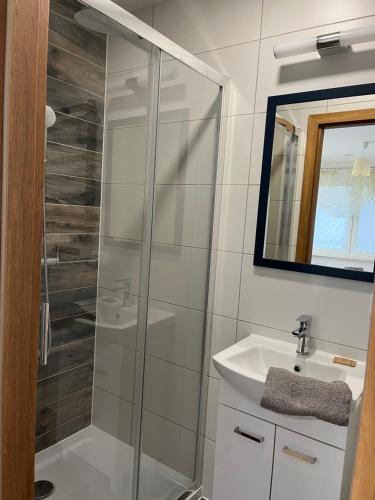 a bathroom with a shower and a sink and a mirror at Dom Wypoczynkowy Nad Wisłą in Puławy