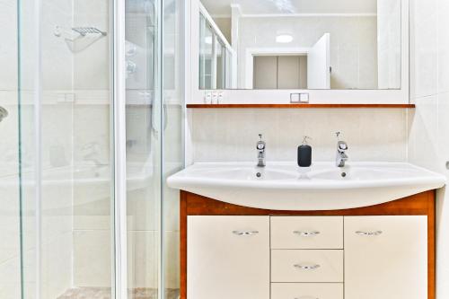 une salle de bain avec un lavabo et une douche dans l'établissement Appartement spacieux pour un séjour inoubliable, à Paris