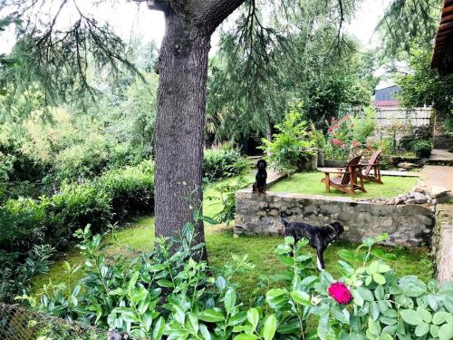 Maison l'or du temps, chambres d'hôtes