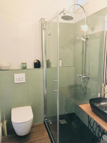 une salle de bain avec une douche, des toilettes et un lavabo dans l'établissement Maison l'or du temps, chambres d'hôtes, à La Boissière-de-Montaigu