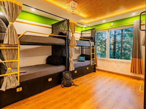 a room with bunk beds in a room with green walls at The Hosteller Lansdowne in Lansdowne