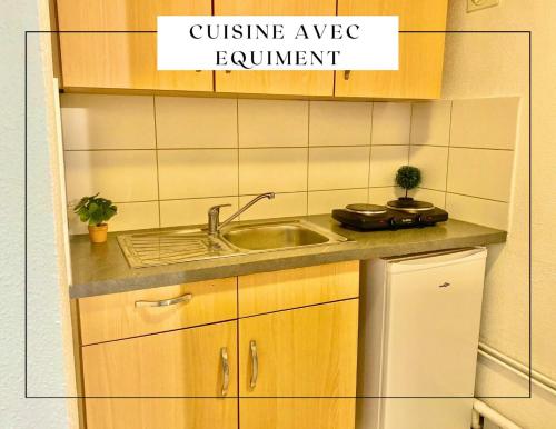 une cuisine avec un évier et un réfrigérateur dans l'établissement Porte des remparts, à Ensisheim