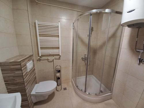 Koupelna v ubytování Apartman Mina