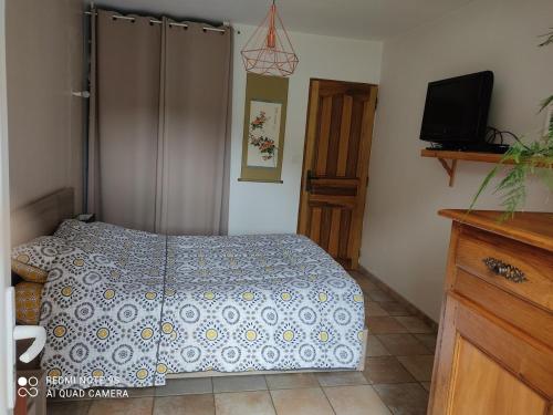a bedroom with a bed and a tv in it at Renovated farm, ferme rénovée in Savournon