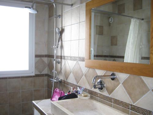 a bathroom with a sink and a mirror at Renovated farm, ferme rénovée in Savournon