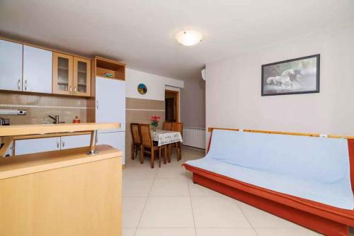 Apartments in Dramalj 5747