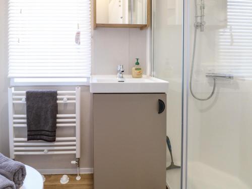 a bathroom with a sink and a shower at The Sea Lodge in Norwich
