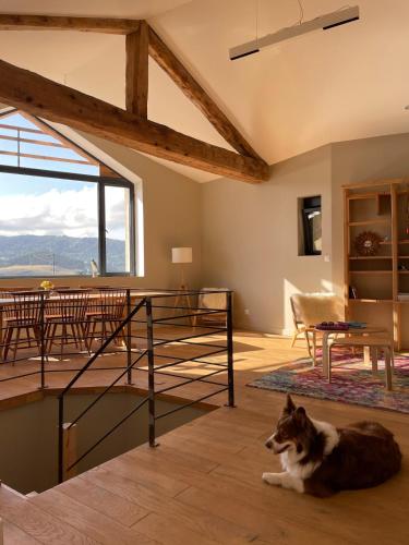 un chien dormant au sol dans une chambre avec une grande fenêtre dans l'établissement Grande Bergerie et sa vue incroyable, à Réal
