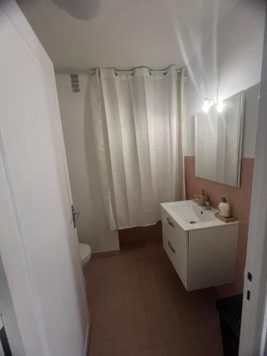 une salle de bain avec un lavabo blanc et des toilettes dans l'établissement Joli T2 très bien situé, à Cagnes-sur-Mer