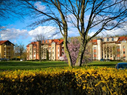 a tree in a park with buildings in the background at Sunset Green Apartman in Bük