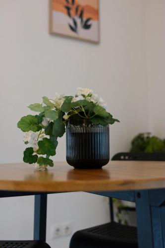 Cozy & Stylish Appartment in Vienna - 1 min to U3 Metro - Quiet Area with Shops nearby