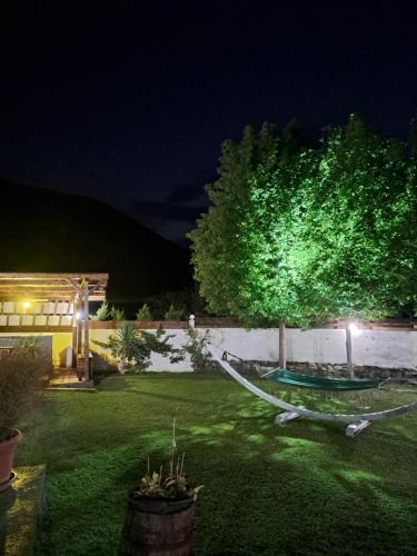 a garden at night with a hammock in the yard at Vila Nikola in Demir Kapija