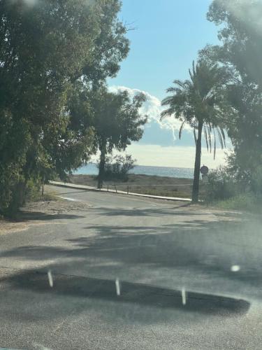 a road with trees and the ocean in the background at Il Nido in Muravera