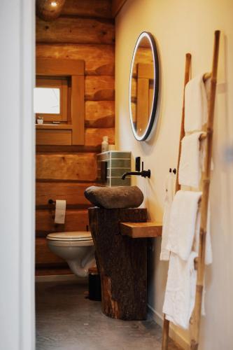 a bathroom with a sink and a toilet at De Stamboom in Hardinxveld-Giessendam