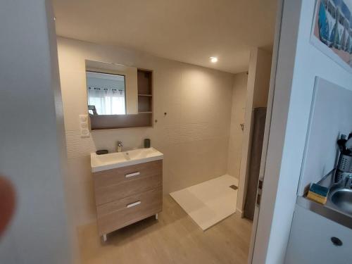 une salle de bain avec un lavabo et un miroir dans l'établissement Studio 25m2, à LʼIsle-sur-la-Sorgue