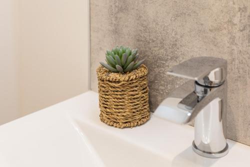 a plant in a basket sitting on a bathroom sink at Apartment 2, King's Court in Scarborough