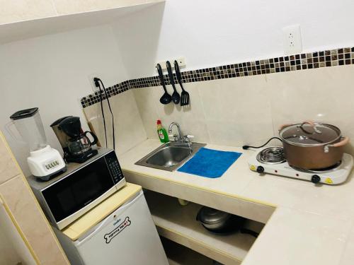 eine kleine Küche mit Spüle und Mikrowelle in der Unterkunft Marena 3 in Playa del Carmen