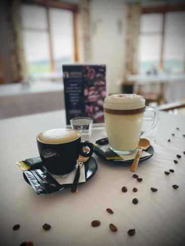 two cups of coffee sitting on a table at Hotel Römerstein in Loipersdorf bei Fürstenfeld