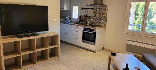 un salon avec une grande télévision à écran plat dans l'établissement Bel appartement centre ville, à Cabasse