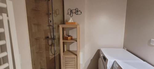 une salle de bain avec douche et lavabo dans l'établissement Bel appartement centre ville, à Cabasse