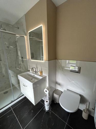 a bathroom with a sink and a shower and a toilet at Drumconnick House in Cavan