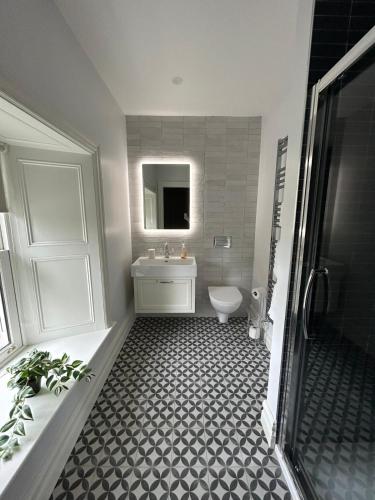 a bathroom with a toilet and a sink and a shower at Drumconnick House in Cavan